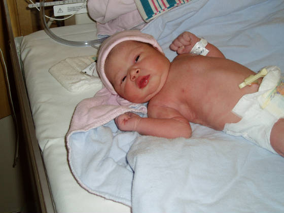 feb152005006.jpg